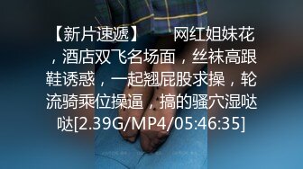 【三级】《女主人偷情的故事》