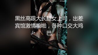 黑丝高跟大长腿女上司，出差宾馆激情啪啪，各种口交大鸡巴