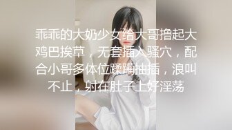 [MP4]极品美乳大胸妹子送货上门被撩拨得春心荡漾连干两炮一个字就是骚