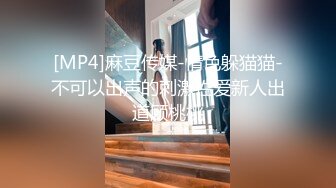 [MP4]麻豆传媒-情色躲猫猫-不可以出声的刺激性爱新人出道顾桃桃