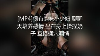 -汝工作室新作-大D华裔猛男约操欧洲一线爆乳嫩模安丽尔