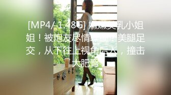 NVH-010 橘濑里奈 一之濑拉姆 – HD