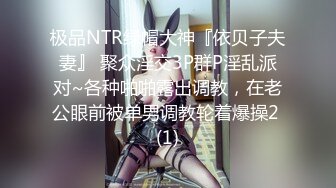 窈窕淑女君子好逑，这简直就是极品中的天花板啊（完整版简芥）