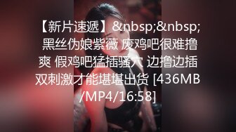 [MP4/ 3.93G]&nbsp;&nbsp;召唤师换妻探花，真实良家夫妻交换，吃饭聊天，做游戏调情，共同追求激情刺激，对白精彩必看佳作