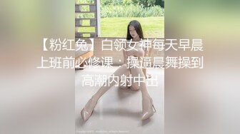 【粉红兔】白领女神每天早晨上班前必修课：操逼晨舞操到高潮内射中出