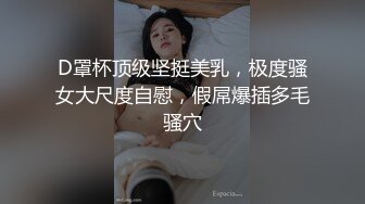 家里骚货第一次活动双龙出鞘