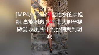 STP24912 高颜值大奶极品好身材骚母狗来了，全程露脸给小哥口交大鸡巴深喉，让小哥草嘴玩弄，道具自慰骚穴呻吟互动