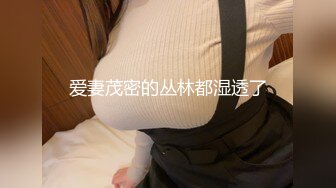 [MP4/591M]3/13最新 商场女厕都是年轻漂亮的妹子大神潜入偷拍美女嘘嘘VIP1196