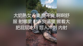 与大屁股少妇在酒店穿着情趣内衣交尾