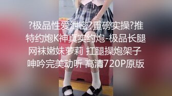 与身着赤兔服渔网袜之02行房事