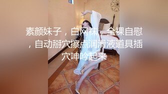 素颜妹子，白网袜，全裸自慰，自动掰穴擦点润滑液道具插穴呻吟起来