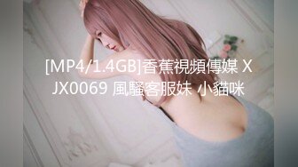 国产麻豆AV MD MD0054 保安强奸女业主 夏滢