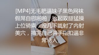 [MP4]无毛肥逼妹子黑色网袜假屌自慰啪啪，抬起双腿猛操上位骑乘，没几下就射了内射美穴，搞完自己再手指扣逼非常诱人