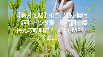 XSJTC-10 吴文淇 约见骚淫女上司的疼爱 性视界传媒