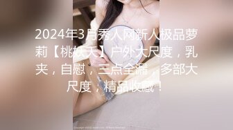 2024年3月秀人网新人极品萝莉【桃妖夭】户外大尺度，乳夹，自慰，三点全漏，多部大尺度，精品收藏！