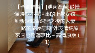 -气质淑女被猛操 鸡巴深入喉咙无套内射 颜值担当 撸管必备 (1)