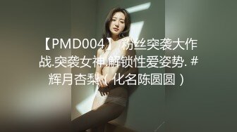 【PMD004】 粉丝突袭大作战.突袭女神.解锁性爱姿势. #辉月杏梨（化名陈圆圆）