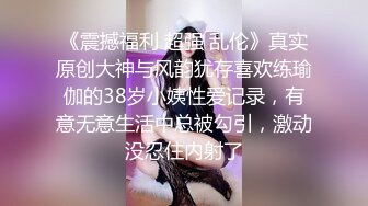 麻豆传媒 mcy-0244 阿sir用肉棒解决夫妻失和-玥可岚