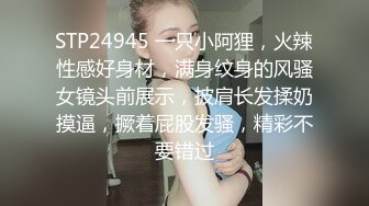 STP24945 一只小阿狸，火辣性感好身材，满身纹身的风骚女镜头前展示，披肩长发揉奶摸逼，撅着屁股发骚，精彩不要错过