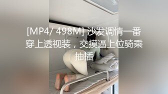 [MP4]糖心出品嫂子老公出差约炮网游认识的网友酒店开房穿着性感情趣内衣做爱