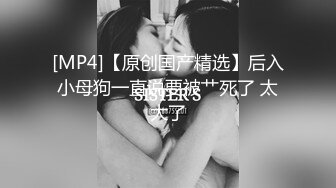 女上位黑丝母狗  不定时更新