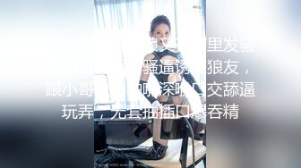 超大胸少妇超级骚、老公不在家我经常光顾