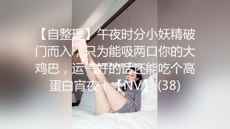 【自整理】午夜时分小妖精破门而入，只为能吸两口你的大鸡巴，运气好的话还能吃个高蛋白宵夜！【NV】 (38)