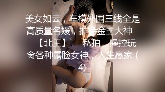 美女如云，车模外围三线全是高质量名媛，推特金主大神♡♥【北王】♡♥私拍，操控玩肏各种露脸女神，人生赢家 (4)