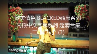 欧美情色 BLACKED媚黑系列 内嵌中文字幕系列 超清合集二【17v】 (3)