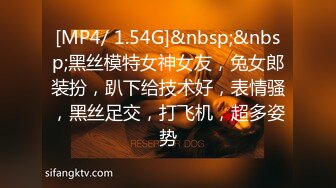 [MP4/ 1.54G]&nbsp;&nbsp;黑丝模特女神女友，兔女郎装扮，趴下给技术好，表情骚，黑丝足交，打飞机，超多姿势