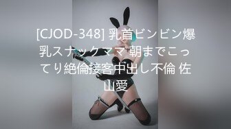 [MP4]麻豆传媒 FLIXKO MFK0014 私家侦探之平冈公主与傻瓜温达