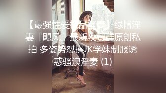 气质尤物美少妇，性感吊带网袜诱惑，男友受不了，埋头吃吊，站立后入操逼，叉开双腿爆草美穴