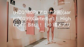 (HD1080P)(アロマ企画)(aarm00199)Garterbelt！ Highheel！ Bitch！！ 3 橘メアリー