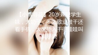 百度云高端泄密流出视图徐州骚女刘佳辰与同居男友的性福生活