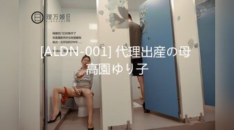 [ALDN-001] 代理出産の母 高園ゆり子