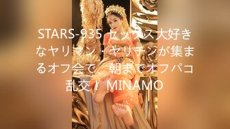 STARS-935 セックス大好きなヤリマン・ヤリチンが集まるオフ会で、朝までオフパコ乱交！ MINAMO