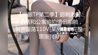 搽搽 NO.06 女仆黑丝