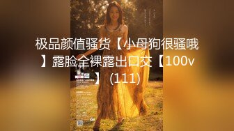 极品颜值骚货【小母狗很骚哦】露脸全裸露出口交【100v】 (111)